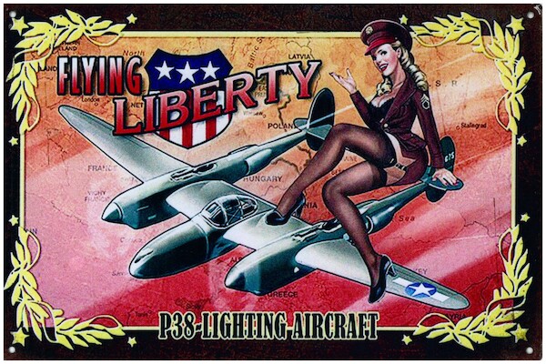 Flying Liberty P38 Lighting Aircraft pin up metal poster metal sign YD6787DI