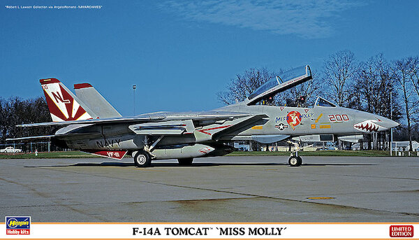 F14A Tomcat 'Miss Molly