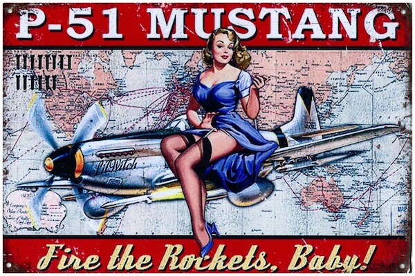 P-51 Mustang, Fire the rockets, Baby pin up metal poster metal sign YD3133EI