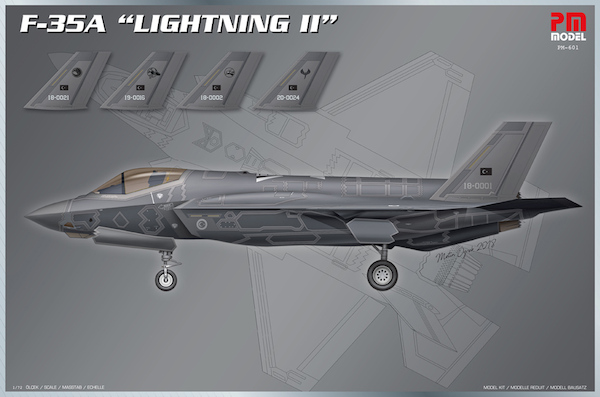 F35A Lightning II  (Turkish AF)  PM601