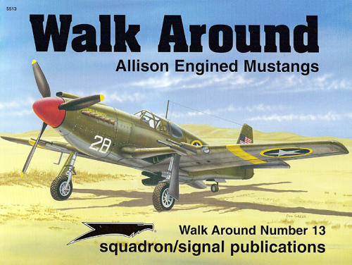 Allison engined Mustangs Walk Around 0897473868