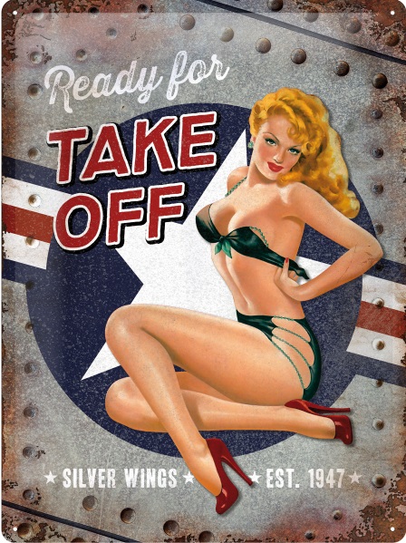 Ready for Take Off pin up metal poster YD6777DI
