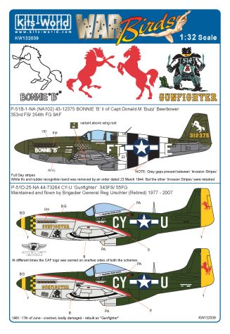 P51B Mustang
