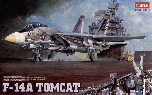 F14A Tomcat (old boxing found behind shelving) 1669
