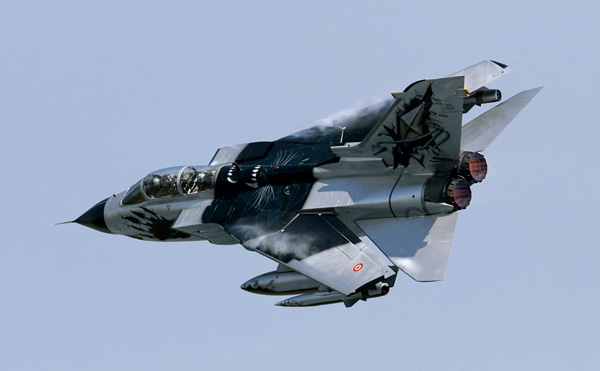 Tornado IDS with Black Panthers Special color 342668