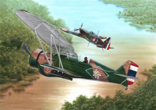 Curtiss Model 68 Hawk III 'Over Siam and Argentina
