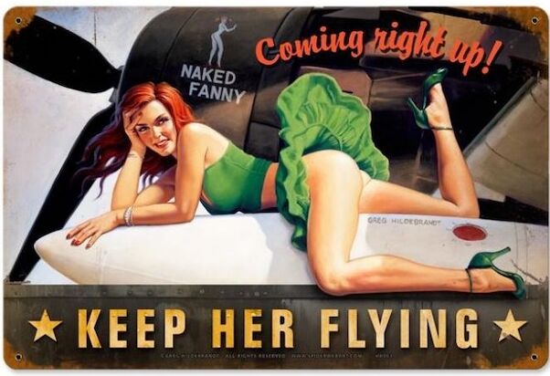 Keep her flying pin up metal poster YD6797DI