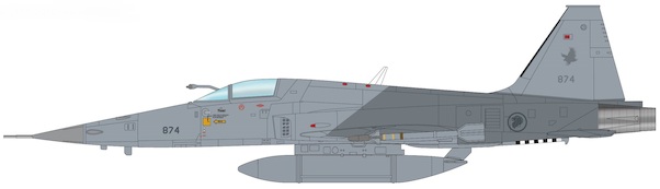 160 sqn rsaf
