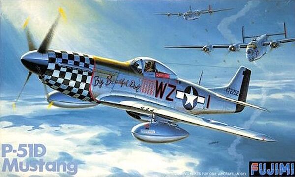 P51D Mustang p3