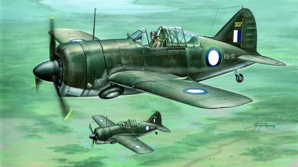 B339-23 Buffalo