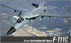 F111C