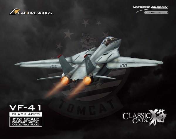 Grumman F14A Tomcat US Navy VF-41 Black Aces BuNo 162608 CA721409