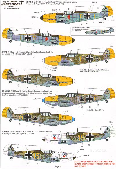 Battle of Britain 70th Anniversary 2010 (Luftwaffe X48087