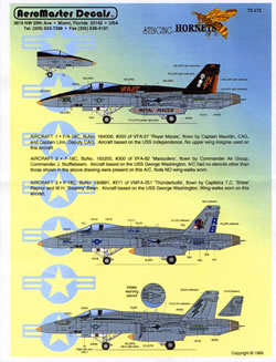 Stinging Hornets Pt 3 (VFA27,VFA82,VMFA251) AMD72-173