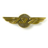 Boeing 737 Antiqued Wings Pin 580080020085