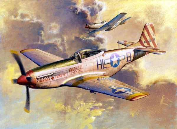 North American P51D Mustang IV TR02275