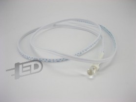 LED cold white 25 degree 5mm 12 volts with cable 03-04-01-WW