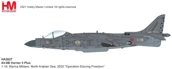 Harrier II AV-8B Plus 1-19, Marina Militare (Italian Navy), North Arabian Sea, 2002