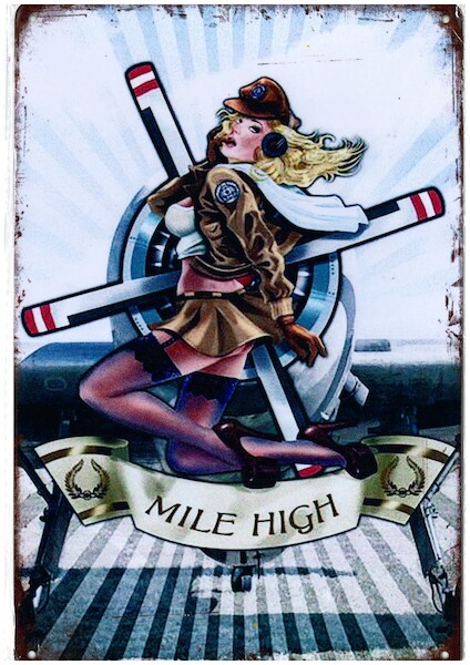 Mile High metal poster metal sign - pin up YD8603B