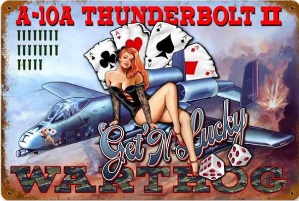 A-10A Thunderbolt II pin up, Get 'N Lucky metal poster YD6786DI