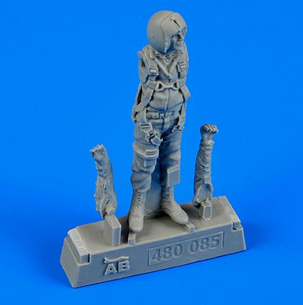 USAF Fighter Pilot - Vietnam war 1965-1973 480-085