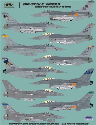 Big Scale Vipers F-16 (Tamiya) SHG32006
