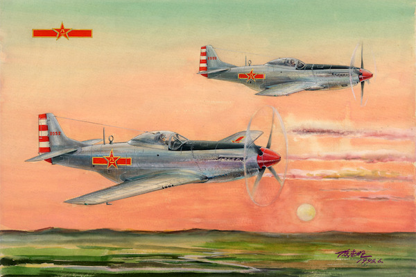 P51D/K Mustang (PLAAF) 85807