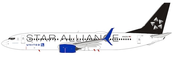 Boeing 737-800 United Airlines N14219 Star Alliance with scimitar winglets 58062