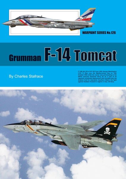 Grumman F14 Tomcat  ws-126