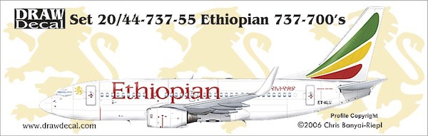 B737-700 (Ethiopian) 44-737-55