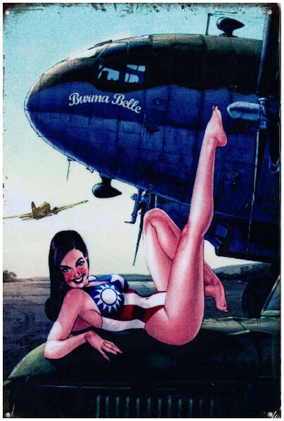 Bwina belle Curtiss C46 pin up metal poster metal sign YD3142EI