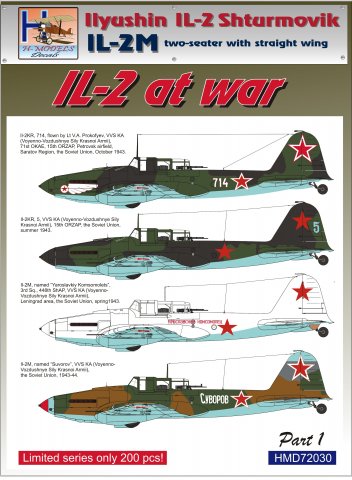Ilyushin IL2 At war Part 1 (2 seatesr with straight wing) HMD72030