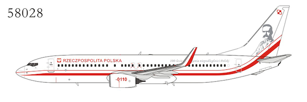 B737-800/w (Polish Air Force) 0110 58028