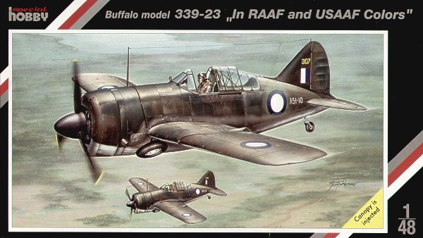 B339-23 Buffalo