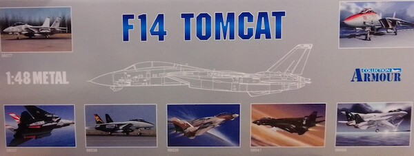 Grumman F14 Tomcat US Navy