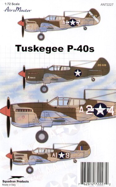 Tuskegee P-40L Warhawks AMD48-800