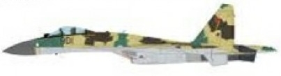 Suchoi Su35 Flanker