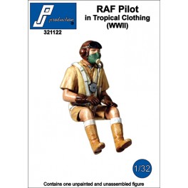 RAF Pilot in Tropical clothing seated in a/c (WWII) 321122