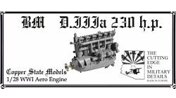 BMW DIIIa 230hp CSM E28-004