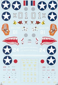 48-900 Curtiss P40E/F/K Warhawk (7FS, 9FS) 48-900