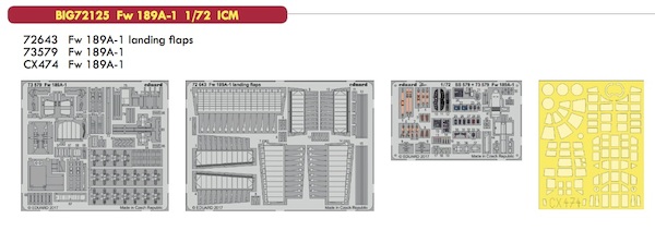 Detailset Focke Wulf FW189A-1 (ICM) BIG72125