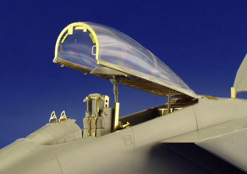 Detailset F14D Tomcat (Hasegawa) E49-221