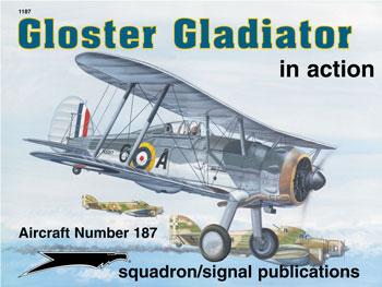 Gloster Gladiator in Action 089747450