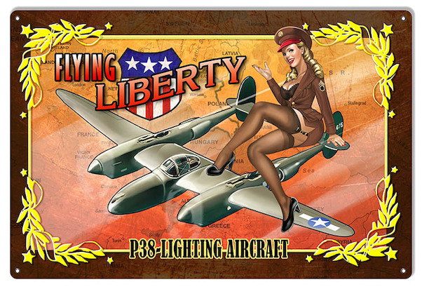 Flying Liberty P38 Lighting Aircraft pin up metal poster YD6787DI