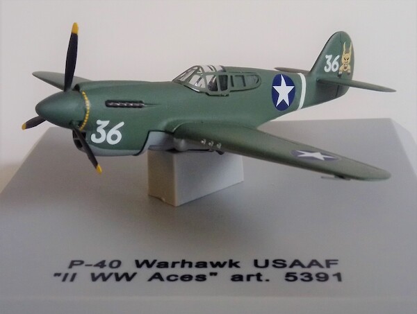 Curtiss P-40 Warhawk USAAF WW2 Aces Nr. 36 5391