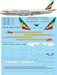 Boeing 720B (Ethiopian Airlines - Delivery scheme)