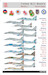 MiG29 part 2 the Late 9-13 Series