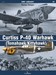 Curtiss P40 Warhawk (Tomahawk/Kittyhawk)