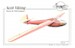 Scott Viking Pre WW2 British Glider