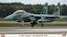 F15DJ Eagle "JASDF Aggressor 2010"